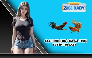 Các hình thức đá gà trực tuyến tại ZX88