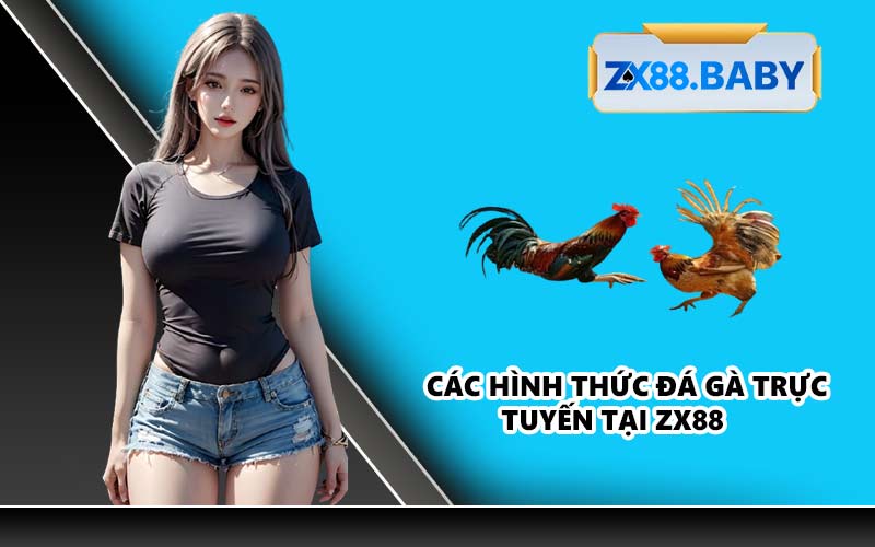 Các hình thức đá gà trực tuyến tại ZX88