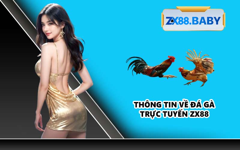 Thông tin về đá gà trực tuyến ZX88